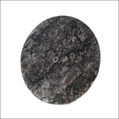 Casual Black Fossil Stone Natural Gemstones | Opaque Gemstones